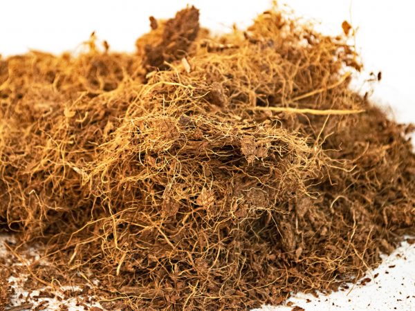 Up-close image of coir.