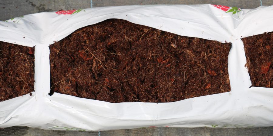 Image of peat moss in a bale.