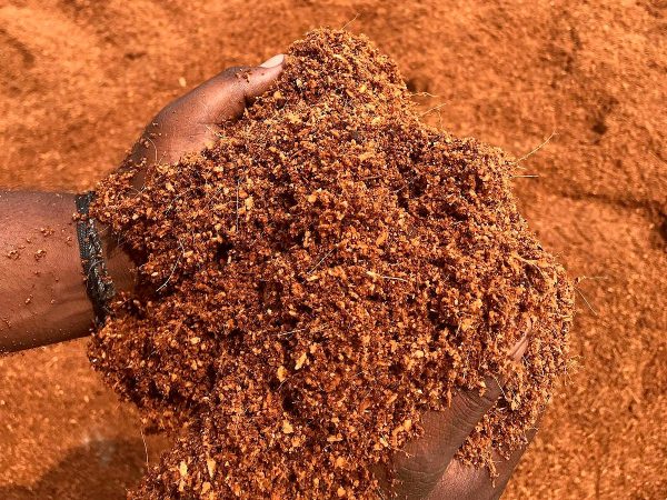 Image of two hands holding peat moss.