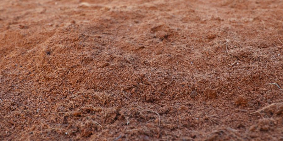 Up-close image of peat moss.