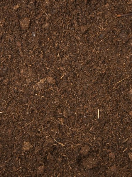 Up-close image of soilless media.