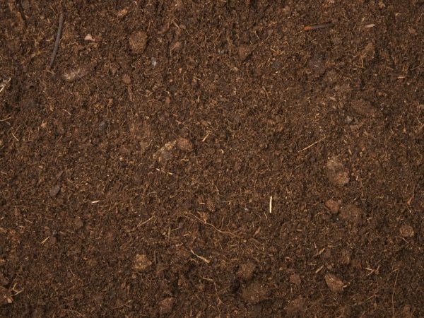 Up-close image of soilless media.